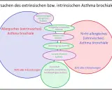 Schema zeigt extrinsisches Asthma, das 90% der Fälle ausmacht, mit Unterformen wie berufsbedingtem allergischem Asthma.