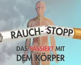 Rauch-Stopp: Ein zerbrochenes Zigarettenstück überlagert die Darstellung eines menschlichen Körpers mit Nerven und Knochen. Der Text darunter warnt: "Das passiert mit dem Körper". Der Puls des Körpers wird durch das Rauchen beeinträchtigt.
