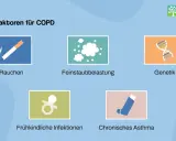 Risikofaktoren für COPD: Rauchen, Feinstaub, Genetik (erblich), frühkindliche Infektionen und chronisches Asthma.
