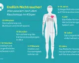 Nach Rauchstopp verbessern sich Kreislauf und Lungenfunktion, wo die Bronchien sind. Husten und Kurzatmigkeit nehmen ab.