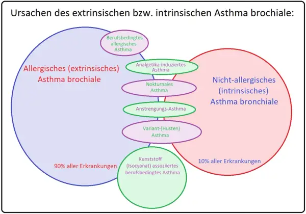 Schema zeigt extrinsisches Asthma, das 90% der Fälle ausmacht, mit Unterformen wie berufsbedingtem allergischem Asthma.