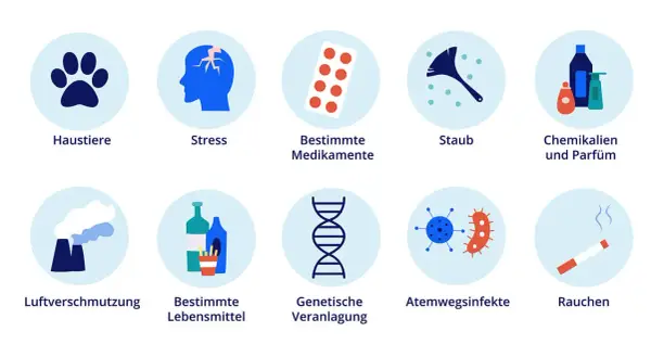 Auslöser für den Zustand bei Asthma: Haustiere, Stress, Medikamente, Staub, Chemikalien, Luftverschmutzung, Lebensmittel, genetische Veranlagung, Infekte, Rauchen.