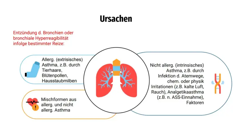 Ursachen von Asthma: Allergisches Asthma durch Reize wie Tierhaare, Pollen, Hausstaubmilben. Nicht-allergisches Asthma durch Infektionen, Kälte, Rauch oder Medikamente. Mischformen sind ebenfalls möglich.